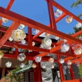 風鈴が並ぶ！夏の催し盛りだくさん！『白山神社』で『七夕風鈴まつり』『白山さまの蓮まつり』『白山さまの夏まつり』開催！6月10日～7月18日。