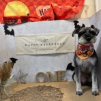 ペットショップワンラブ ザ・ファクトリー ニシムタ合志店のスタッフブログ