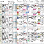 ハイブリッド競馬新聞