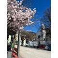 大好きなTrentino(トレンティーノ)への旅❤️