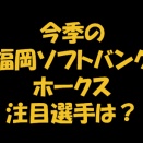 2026年も走り続けるベテラン　福岡ソフトバンクホークス編
