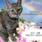 ペットセレモニーベル天国の天使達