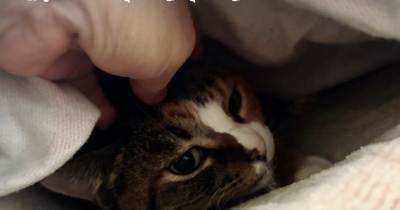 凛さんも気がつく最近の寒さ。