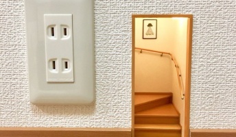 【画像】部屋でヤバそうなやつが巣作ってるンゴ…
