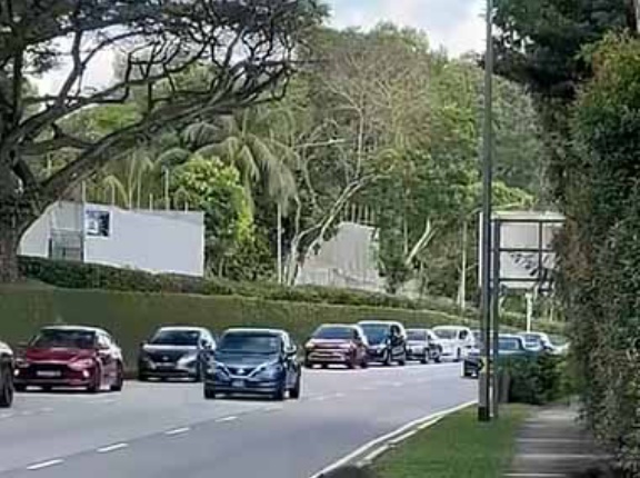 【大家族】 交通量の多い3車線の道があった。ちょっと危険なお引っ越し！ → カワウソたち、渡ります…