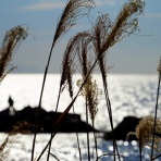 KaminariRacingブログ