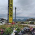 今日は何処へ明日は、、、