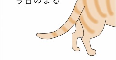 今日のまる