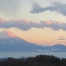 新米田舎暮らし　「お披露目屋」《日本の道》