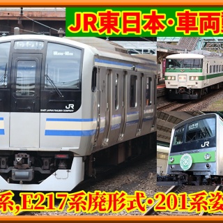 湘南色の部屋（Shonan-color train）