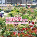 今回は、5/17(日)に「第59回〝福山ばら祭2026〟」行きのGONsanでした(^.-)☆(01)