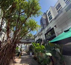 【ダイエットご飯日記】7キロ減・ロティサリーチキン・アメリカスタバの桜タンブラー