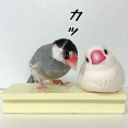 年下なんだから