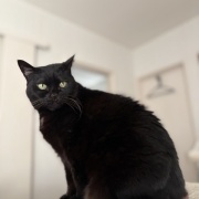 毎日が発見ネット掲載のお知らせ