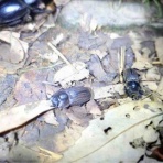 TOYOKUWA's Diary@静岡