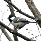 02/06　福岡県　自宅