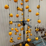 もっとずぼらな柿の干し方 色々