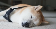 涼しいっ！