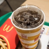 『環境にはやさしい。でもコーラはストローで飲みたかった問題』の画像