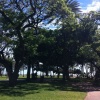 Fort DeRussy Park