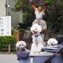 高千穂めぐり