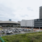 ラッキーの日記と、パパのカメブラ散歩