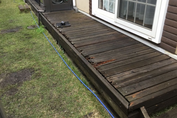 ガーデンスタイルなごみのブログ