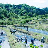 『今年もお手伝いいただけますでしょうか〜2026年田植え体験会のご案内〜』の画像