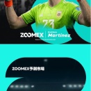 ワールドカップ 見るだけでも楽しい試合予想も楽しい