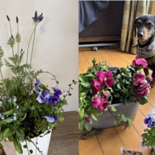 ◆S教授！次はどの株買えば良いですか！？◆