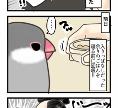 すずちゃんの体重