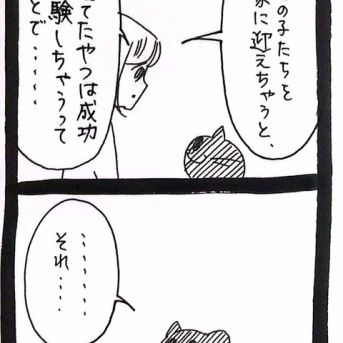 たくさんの猫のいる家44