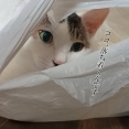 太陽の塔パワーすごい。と、はじめてのマグネットネイル。