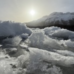 スイスアルプス便り