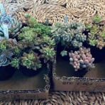 ここに居ることが全て。