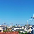 期日前投票に行ってきました