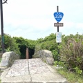 チャッピーと旅程の相談は面白い!