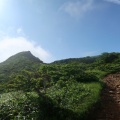 夏の花咲く那須連山へ
