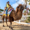 神戸動物王国の動物②