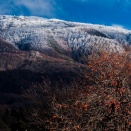 霧氷を背景に・・・