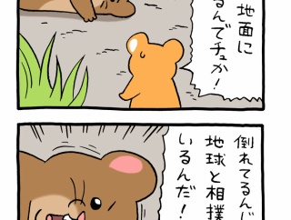 スキネズミ「スケール」