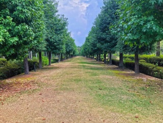 湧永庭園