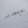 あっという間に過ぎ去った3月