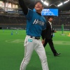ハムファン集合！
