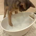 鼻低っ！