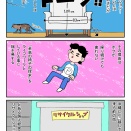 地上8階の地域猫 ニャーの話 #14 ウチの家宝について…