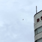 山遊び、川遊び−２