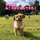 初めてのバス🩷ドギーズアイランド