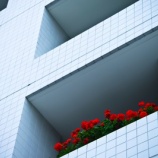 『引っ越ししたい』の画像