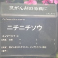 現在の状況250801